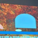 신촌 | 절미또간집 효스타임 신촌후기