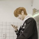 강아지트 이미지