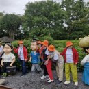 까멜리아in선녀가나무꾼 | 국민학교 여자 동창들과 함께한 제주도 우정여행