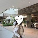 쨍세탁 | [룰루레몬 원더퍼프 크롭 베스트 후기] 룰루레몬 조끼·패딩·사이즈팁 총정리 (블랙, 아이보리, 핑크...