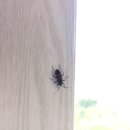 한결우리요양병원 이미지