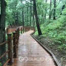 대청호반 이미지