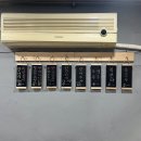 항아리장어 이미지