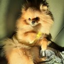 포비PC방 이미지