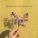 눈사랑네일사랑