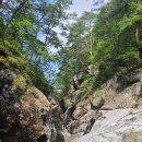 #제178차 대구숲소리산악회(울진군백암산신선계곡)정기산행 안내 이미지