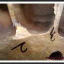 씨피코리아 이미지