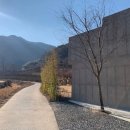 하우하 | 경남 밀양 감성숙소 "하우하" 추천후기