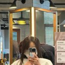 [고양/아이디헤어 덕이점] 컬러 천재 아현 부원장님 염색 후기, 붉은기 잡은 매트브라운으로 변신!