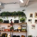 공룡빵공장 이미지