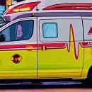 청원사료 이미지