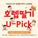 호렙농장 네이버블로그