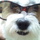 3D필드로 이미지