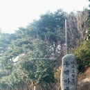 동백쉐이리