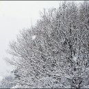 일동용암천 이미지