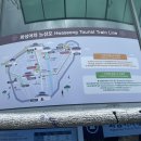 애견프라자 | 백만 년 만의 돌아온 다링 일기