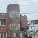 라이크펫 | 광주 라이크펫 후기｜포메라니안 많은 애견카페 &amp; 고양이카페, 아이랑 가기 좋은 곳