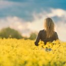 분당-200 이미지