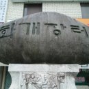 지리산매화네