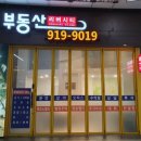 대지손세차장 이미지