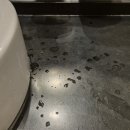 강남사무실청소 오렌지크린 이미지