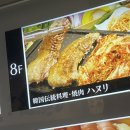 지또일 막탄