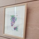 색연필 일러스트 & 보타니컬 아트 이미지