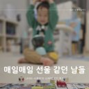 유아 장난감 나비타 서포터즈 나비떼 추천
