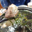 명진회센타 | 충주 진주회센타 봄 제철 알쭈꾸미 샤브샤브 후기