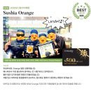 돌돌말다 | [호주워홀] Sushia 근무 후기