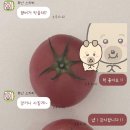 현대광산ST | 배 빵빵 동글 감쟈의 일기