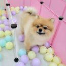 영도유치원 이미지