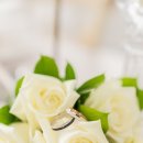 달하우스 이미지