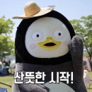 홍도회관 | 연극 '홍도야 우지마라' 감상