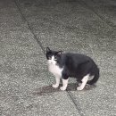 북부동물병원 이미지