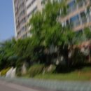 쌍령동 87-12 이미지