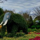 마곡드림공인중개사사무소 이미지