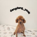 따봉 이미지