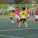 순천중앙초등학교 이미지