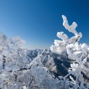 150117 인천 출발 100대 명산 산행 6탄 덕유산 산행 이미지