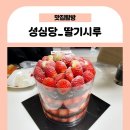 시루향 | 성심당 케익부띠끄 '딸기시루', 주자 추천 및 임산부 프리 패스 후기