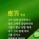 고운가루