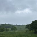 해인목장 이미지