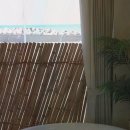 송정1호 이미지