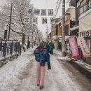 해리전통시장 | 일본 나고야 여행 다카야마 가볼만한곳 아침시장