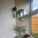 돌멩이 펜션 | 경주 플랜비애견동반펜션 G5 내돈내산 솔직후기(비추🙁)