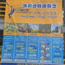 [보은] 솔향공원 스카이바이크