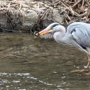 SY하나로유통 이미지