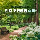 초전점 현대자동차 부분정비 | 진주 초전공원 수국 경남 꽃구경 추천 명소 고철테마파크 대나무숲 솔직 후기
