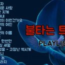 불타는 트롯맨 노래모음 + 감성 트로트 플레이리스트 이미지